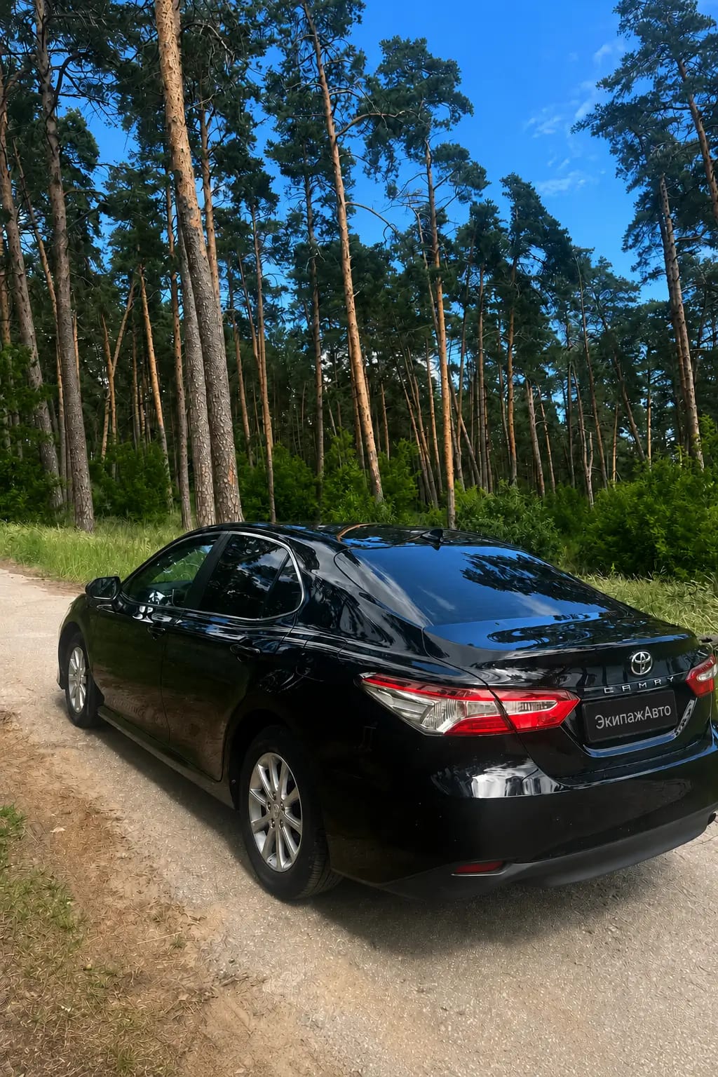 Toyota Camry 2022 года, задняя часть кузова