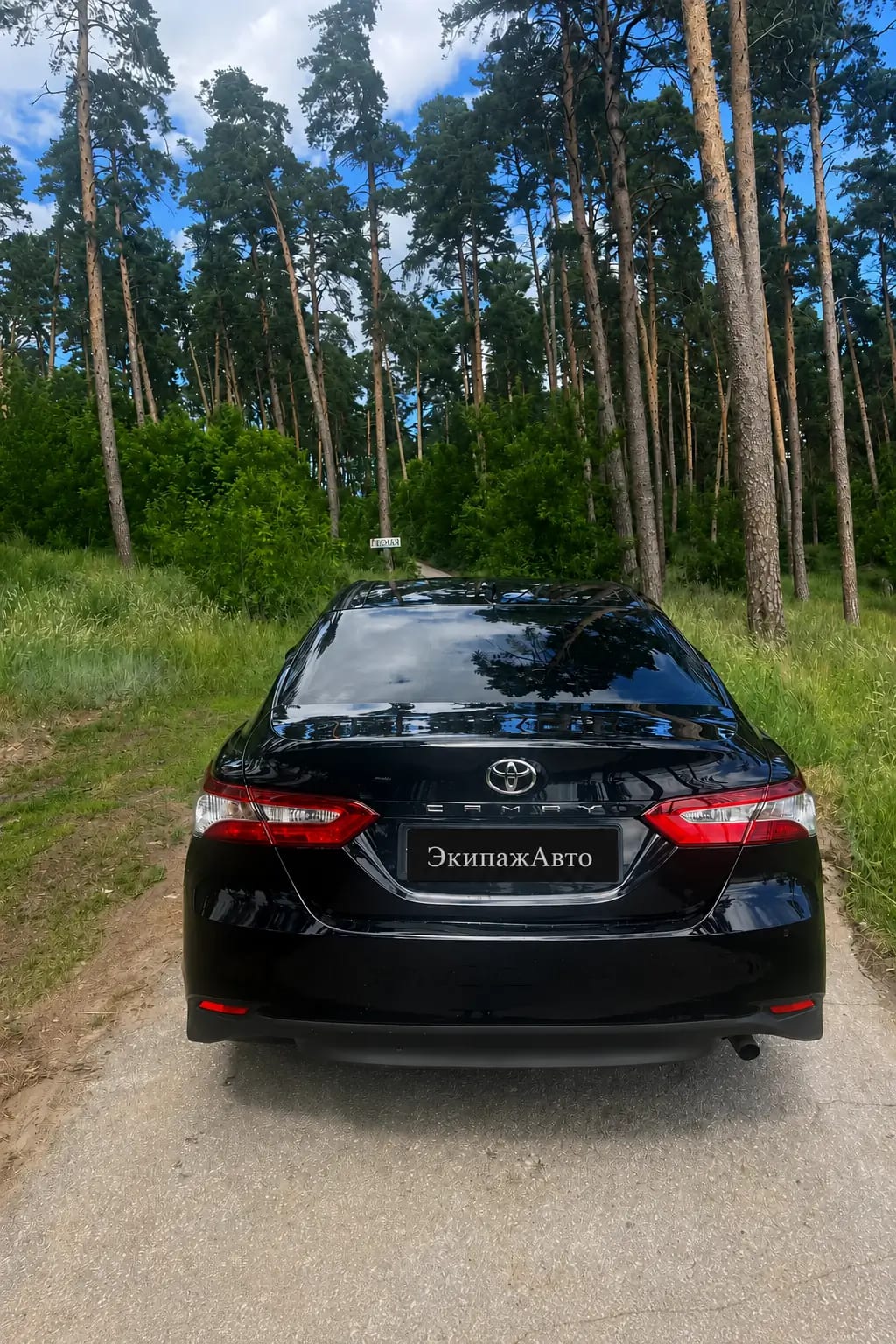 Toyota Camry 2022 года, вид сзади
