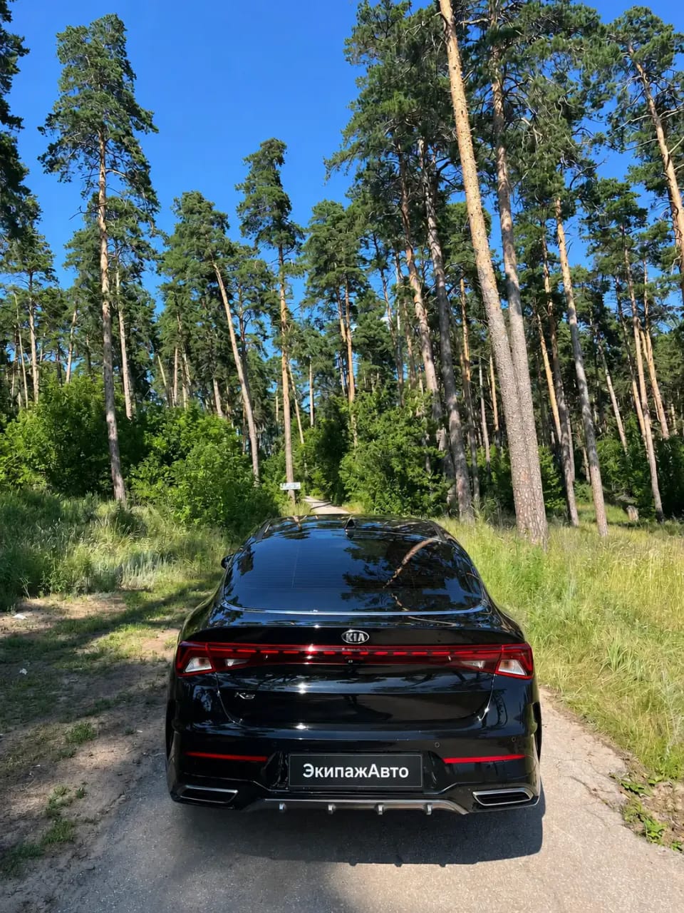 Kia K5 2022 года, вид сзади